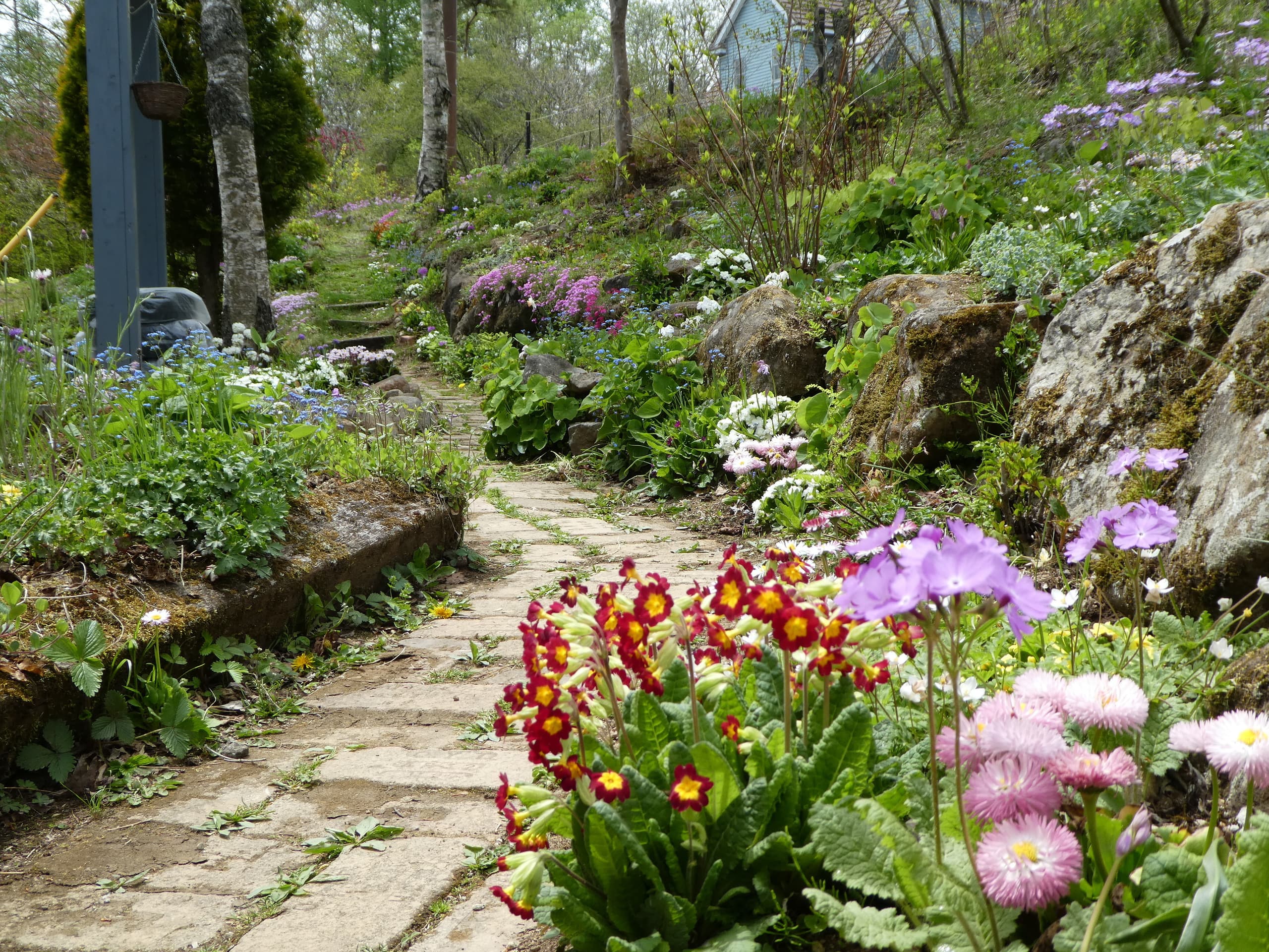 p1000354.jpg